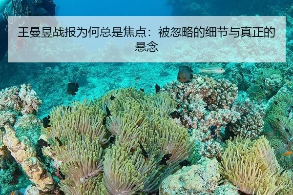 wang-man-yu-zhan-bao-wei-he-zong-shi-jiao-dian-bei-hu-lve-de-xi-jie-yu-zhen-zheng-de-xuan-nian-2-687.jpg